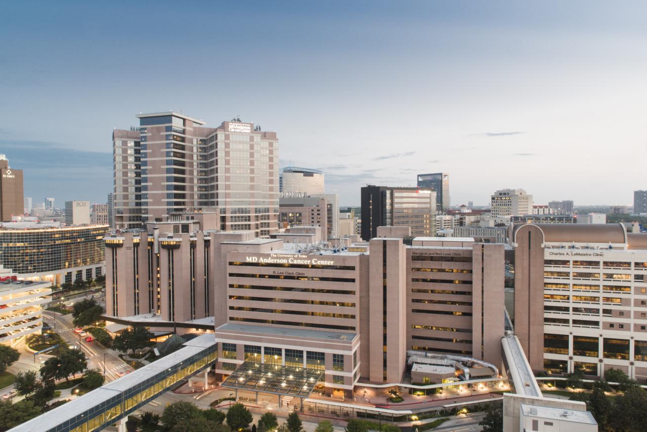 Mdanderson hain fernandez rauh