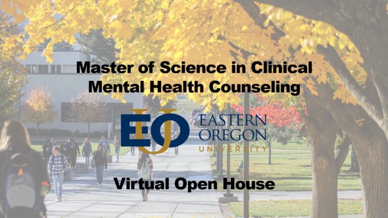 Online master's degree clinical mental health counseling